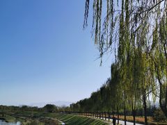 -洨河生态公园