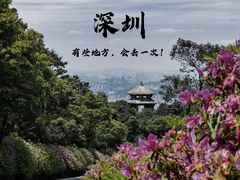 -梧桐山风景名胜区