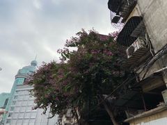 -李记牛杂店(建设一街店)