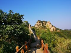 -大岭沟猕猴桃谷风景区