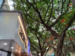 -茶百道(乐山时代青江店)