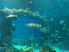 -海合安青岛极地海洋公园