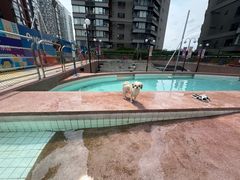 -帕帕拉兹宠物(亚洲旗舰店)