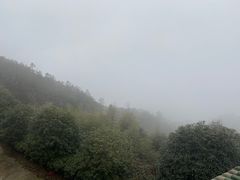 -冶父山国家森林公园