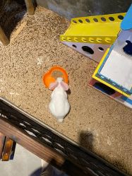 -酷嗒动物文化乐园(cutezoo西溪乐天城店)