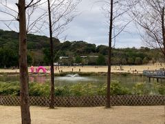 -牛岗山公园