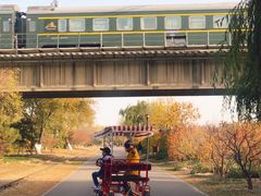 -永定河休闲森林公园