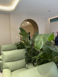 点击看大图 -LIHER北京丽合医疗美容医院
