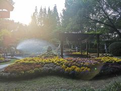 -汇龙潭
