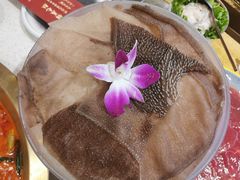 -如在蜀毛肚老火锅(怀柔店)