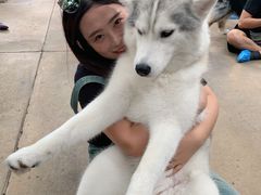 -TrueLove @ Neverland (Husky Cafe)