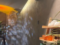 -施奈儿.洗头頭療.按摩SPA.采耳(上梅林店)