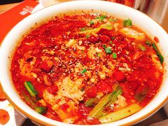-茅庐毛血旺(烟台大悦城店)