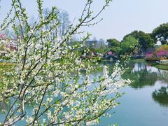-圩墩遗址公园