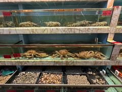 -榕树下海鲜馆(坪山路店)