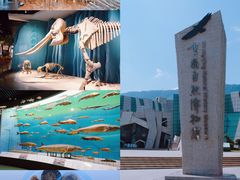 -重庆自然博物馆(新馆)