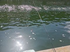 -DGE季风钓虾营地·团建·聚会