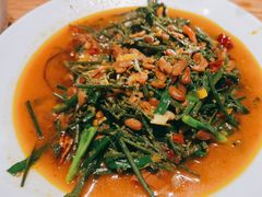 -滇铺子·云南特色菜·第九届野生菌美食节(东风东路c86店)