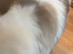 -白兔子密室(长寿路店)