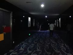 -华星国际影城