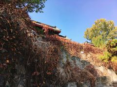 -淄博聊斋城景区