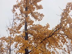 -凤凰沟景区