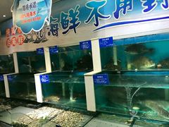 -福泉海码头(六里山店)