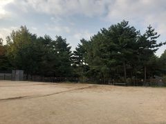 -景福宫