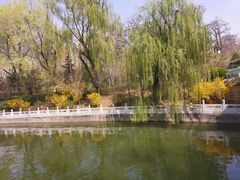 -迎泽公园