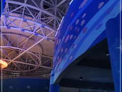 -烟台海昌鲸鲨海洋公园