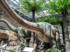 -国家自然博物馆