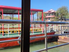 -黄椅山火山森林公园