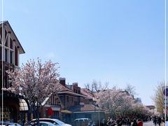 -天津五大道文化旅游区