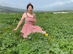 -新疆那拉提国家旅游度假区