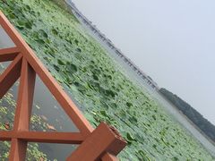 -丁香湖公园