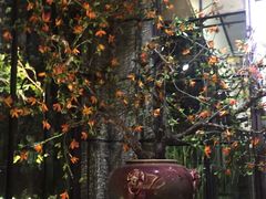 -范设计花园餐酒咖·中西餐·咖啡厅·酒馆