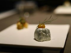 百香果银耳花-曲廊院(东四十一条店)