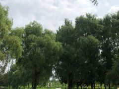 -长春世界雕塑园冰雪艺术天地