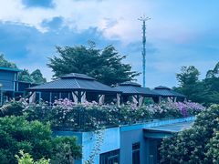 -罗汉堂·荷谷(礼智路店)