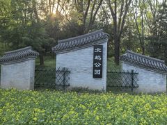 -北坞公园