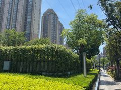 -维乐口腔(格林门诊长宁店)