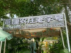 -芭厘农庄老字号·清远鸡