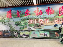 -倪家堰(地铁站)