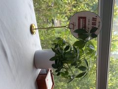 -大鸭梨烤鸭(枣园店)