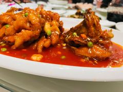 松子鲈鱼-上海德兴馆(昌里店)