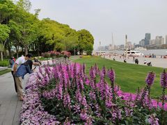 -北外滩滨江绿地