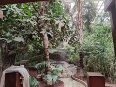 -龙达温泉生态城