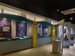 -上海昆虫博物馆