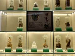 -广东中医药博物馆