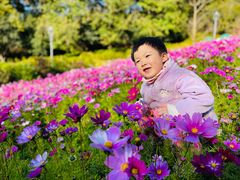 -金鸡山公园